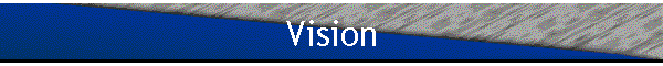 Vision