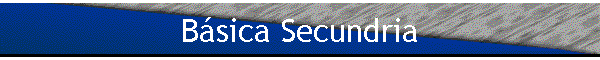 Bsica Secundria