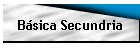 Bsica Secundria